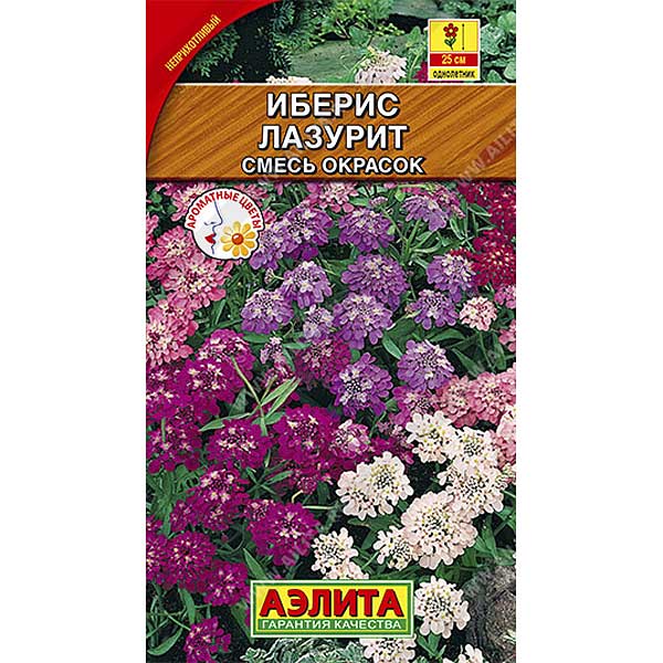 Иберис Лазурит Аэлита Ц 