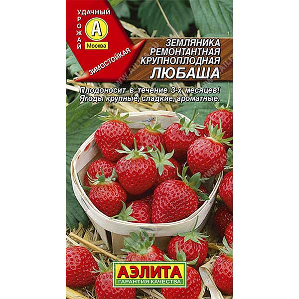 Земляника Любаша ремонт.крупноплод.10шт Аэлита Ц