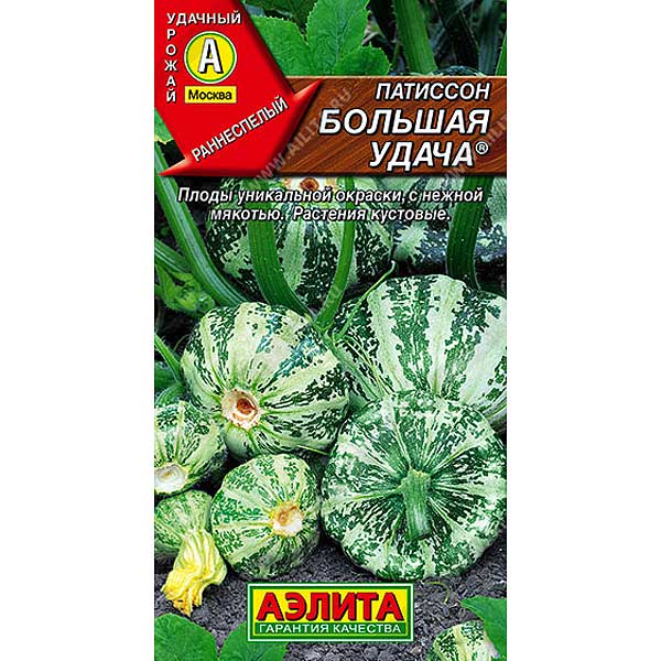 Патиссон Большая удача Аэлита Ц