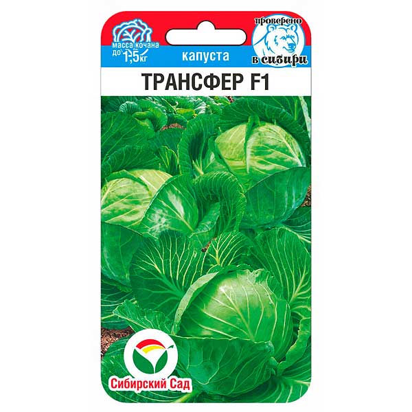 Капуста Трансфер СибСад