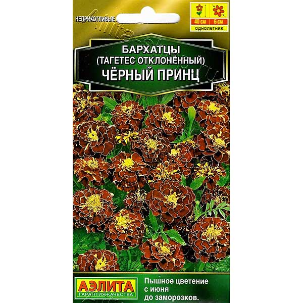Бархатцы Черный принц Аэлита Ц 