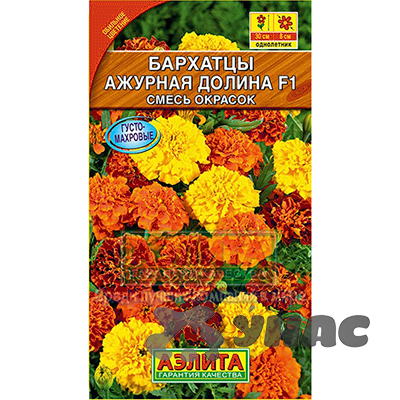 Бархатцы  Ажурная долина триплоидные Аэлита Ц 