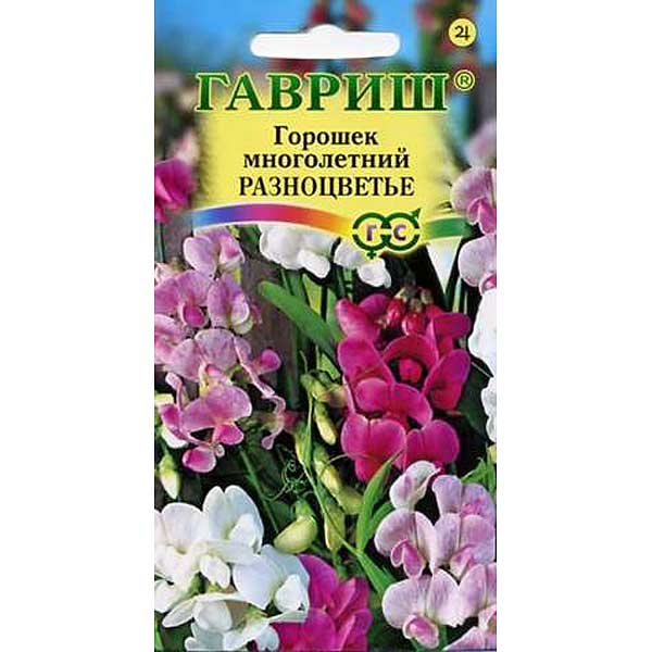Горошек многолетний Разноцветье Гавриш Ц 