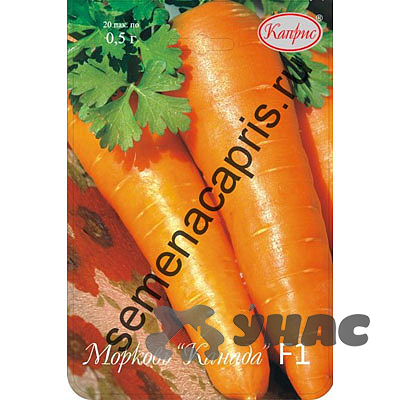 Морковь Канада (Нидерланды) Каприс