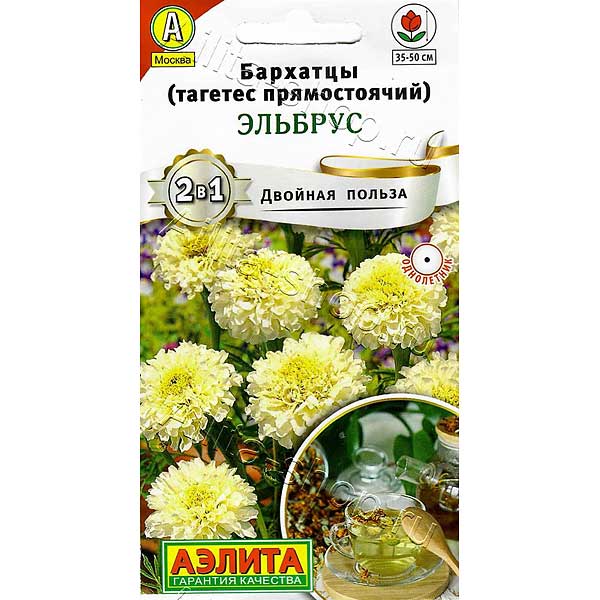 Бархатцы Эльбрус Аэлита Ц 