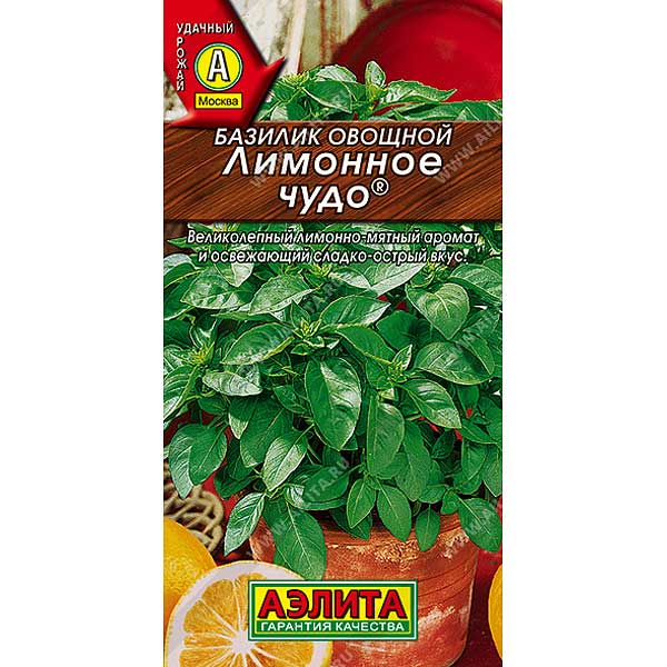 Базилик Лимонное чудо Аэлита Ц