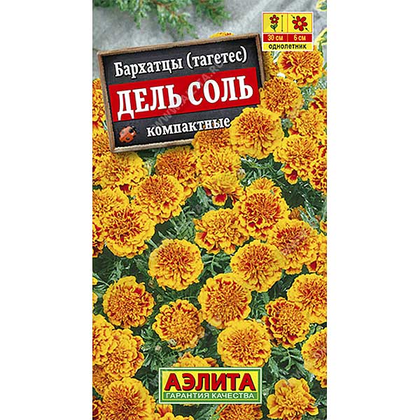 Бархатцы Дель Соль Аэлита Цх10 
