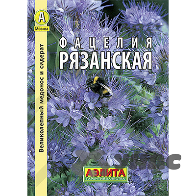 Фацелия рязанская Аэлита Ц 