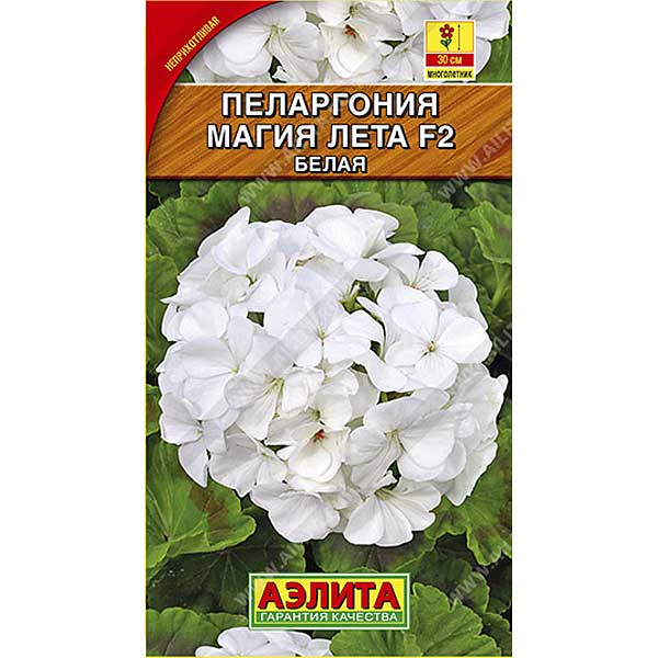 КОМ Пеларгония Магия лета белая  Аэлита Ц 