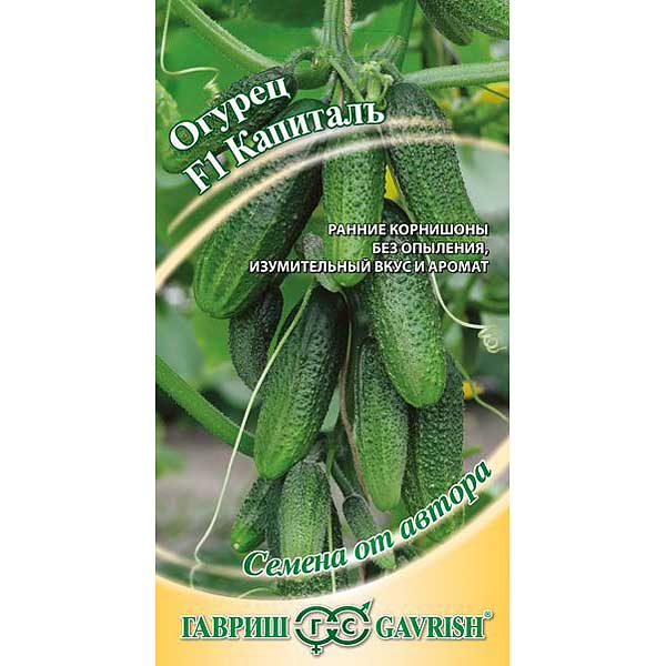 Огурец Капитал Гавриш Ц