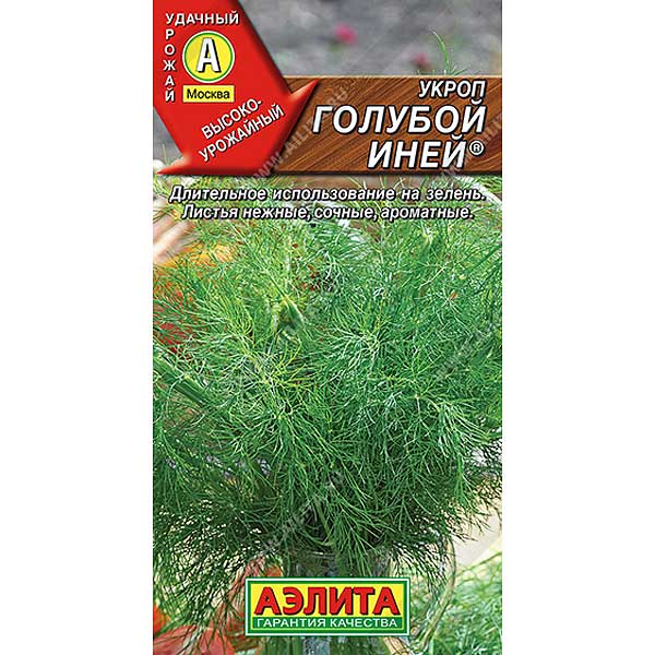 Укроп Голубой Иней Аэлита Ц