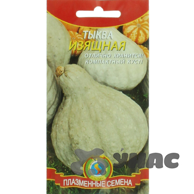 Тыква Изящная Плазма Ц