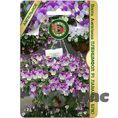 Виола Пленшифол Лаванда Блю Биотехника Ц 