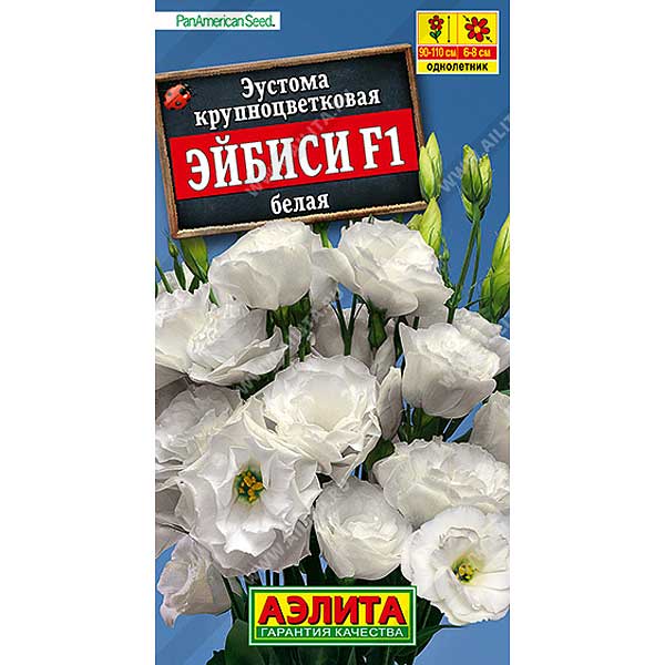 Эустома Эйбиси белая Аэлита Ц 
