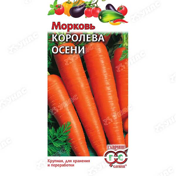 Морковь Королева Осени Гавриш Ц