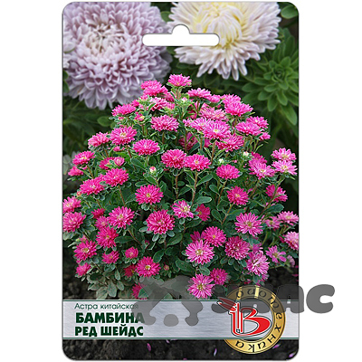 Астра Бамбина Ред Шейдс Биотехника Ц 