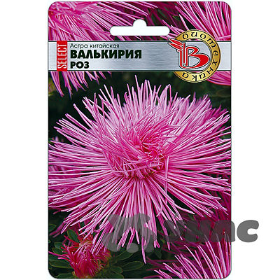 Астра Валькирия SELECT Роз Биотехника Ц 