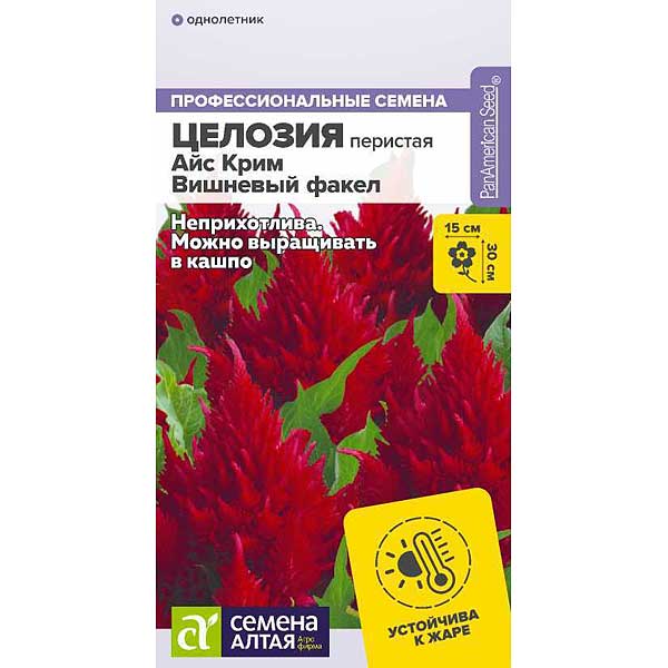 Целозия Айс Крим Вишневый факел перистая СемАлт Ц 