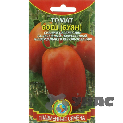 Семена Томат Боец (Буян) Плазма