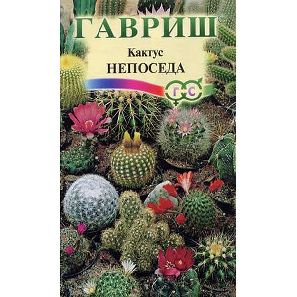 КОМ Кактус Непоседа смесь Гавриш Ц 