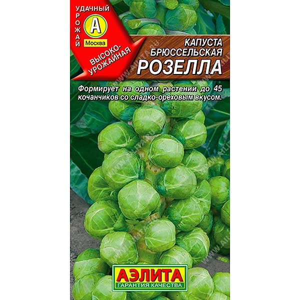 Капуста брюссельская Розелла Аэлита Ц