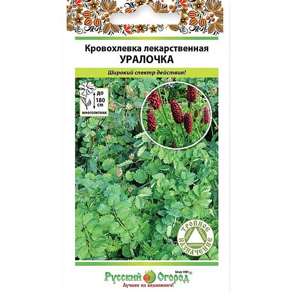 Кровохлебка Уралочка лекарственная НК Ц