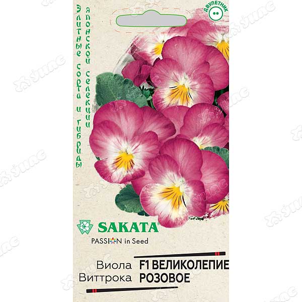 Виола Виттрока Великолепие розовое Гавриш Ц 