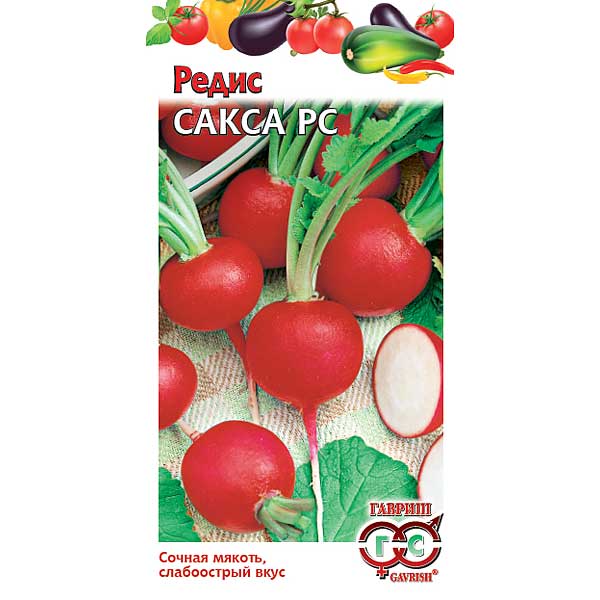 Редис Сакса Гавриш Ц