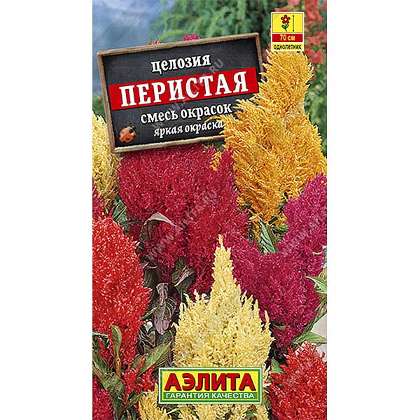 Целозия смесь окрасок перистая Аэлита Ц 