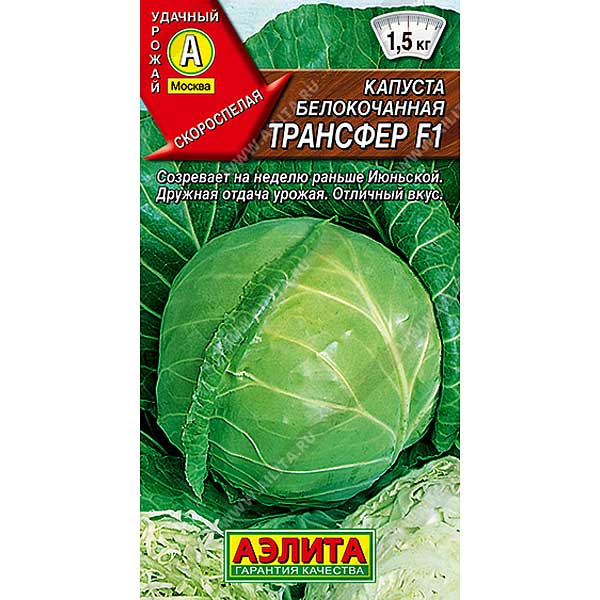 Капуста Трансфер Аэлита Ц
