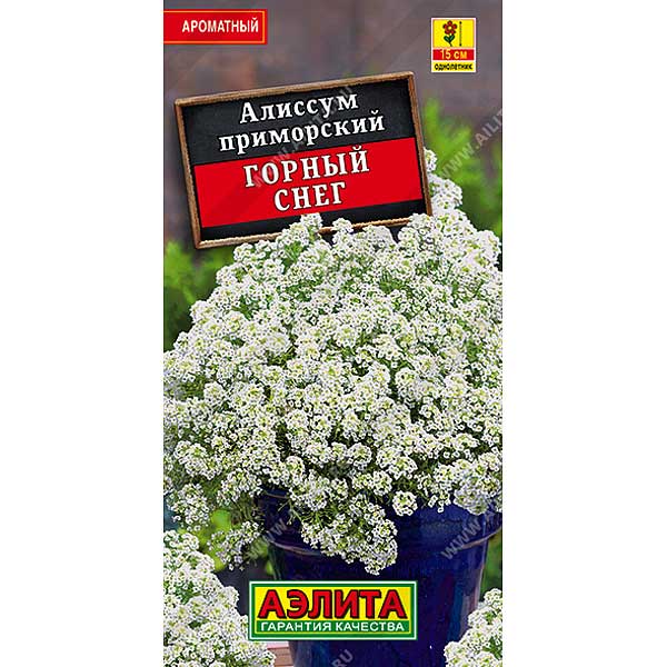 Алиссум Горный снег Аэлита Ц 