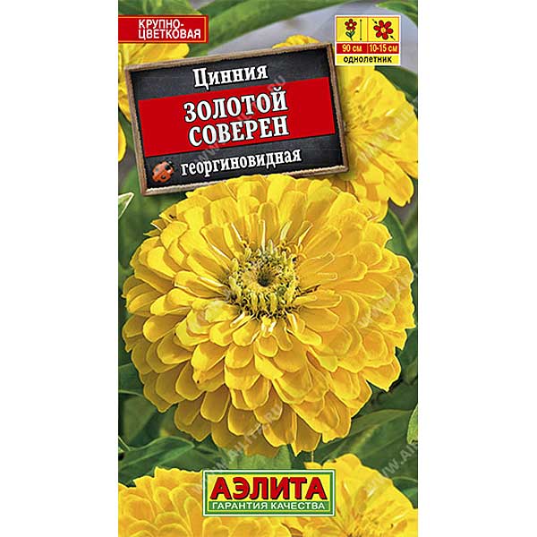 Циния Золотой соверен Аэлита Ц х10 