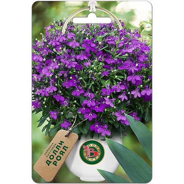 Лобелия Долли Роял  Биотехника Ц 