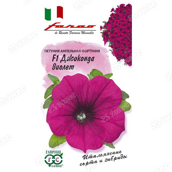 Петуния Джоконда Виолет (Фортуния) Гавриш Ц 