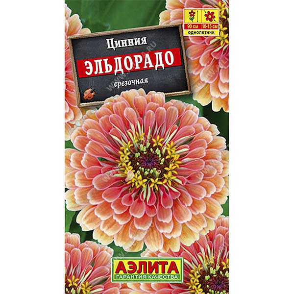 Циния Эльдорадо Аэлита Ц х10 