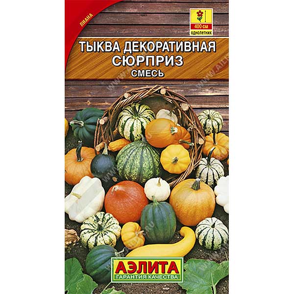 Тыква декоративная Сюрприз смесь Аэлита Ц