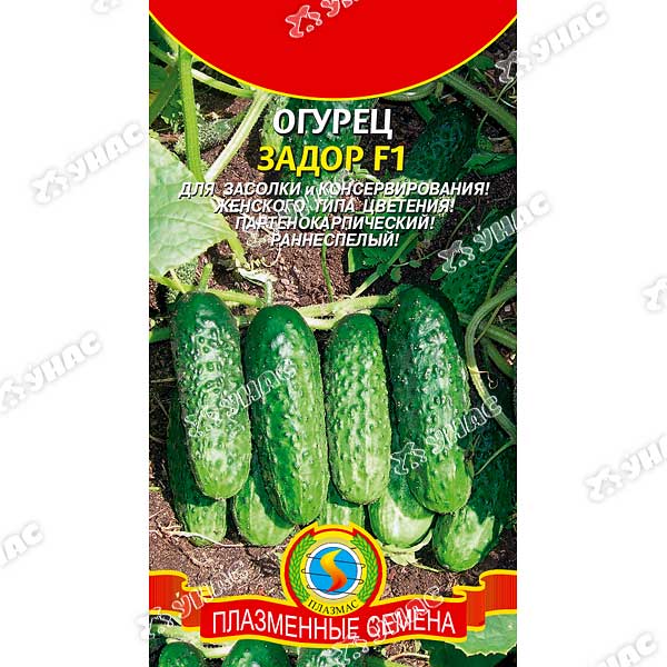 Огурец Задор Плазма Ц
