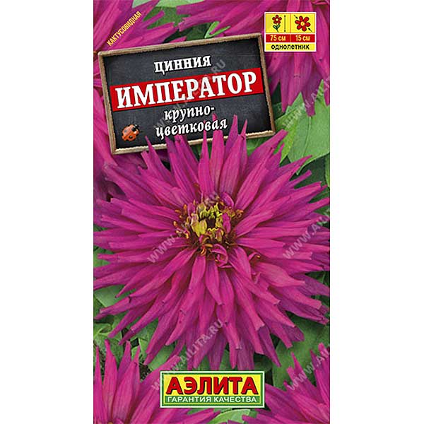 Циния Император кактусовидная Аэлита Ц х10 