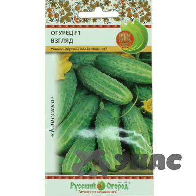 Огурец Взгляд НК Ц