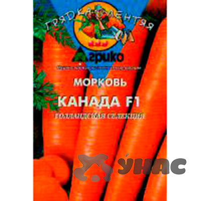 Морковь Канада (ГЛ) Агрико