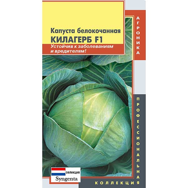 Капуста Килагерб Плазма Ц