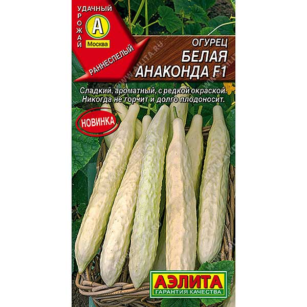 Огурец Белая анаконда Аэлита Ц