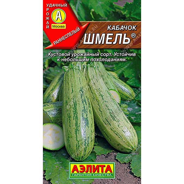 Кабачок Шмель цукини Аэлита Ц