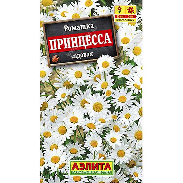 Ромашка Принцесса садовая Аэлита Ц 