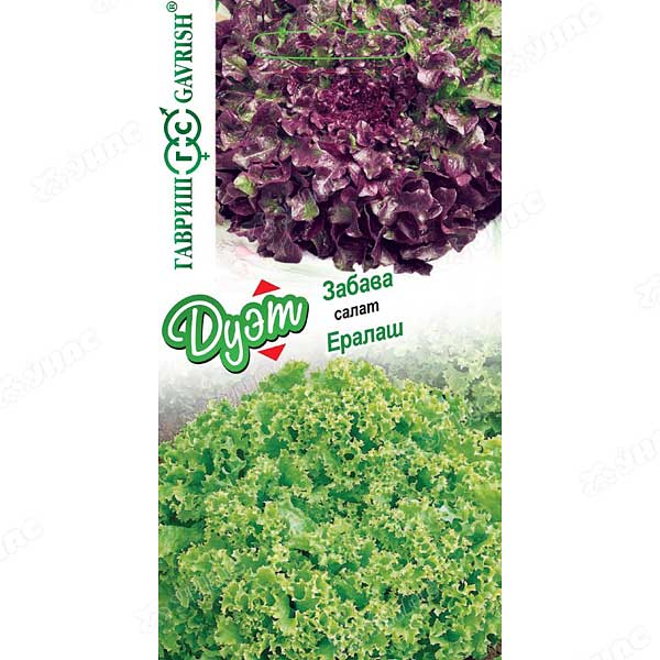 Салат ДУЭТ Ералаш + Забава Гавриш Ц