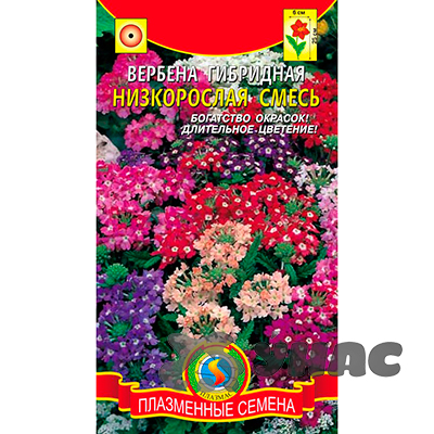 Вербена гибрид. низкорос. смесь Плазма Ц 