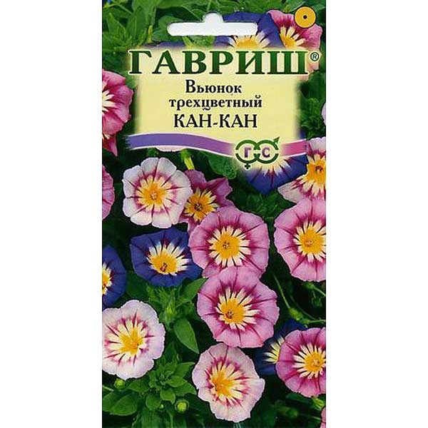 Вьюнок Трехцветный Канкан смесь Гавриш Ц 