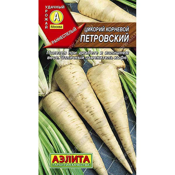 Цикорий Петровский Аэлита Ц