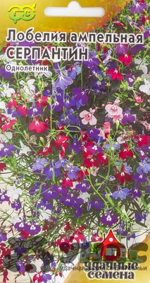 Лобелия амп Серпантин Удачные семена Гавриш Ц 