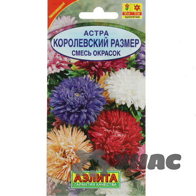 Астра Королевский размер смесь Аэлита Ц 